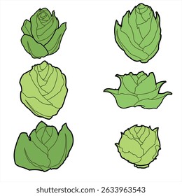Six Different Types of Cauliflower Vegetable Vector Set Isolated on White