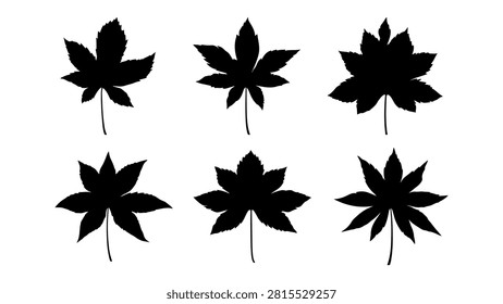 Six distinct black silhouettes of maple leaves arranged in two rows, showcasing various shapes and sizes on a white background.