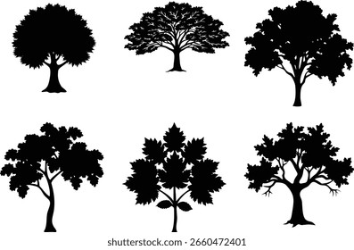 Six distinct black tree silhouettes are displayed against a clean white background, showcasing varied shapes and leaf structures.