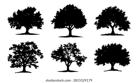 Six distinct black tree silhouettes showcasing various shapes and styles, ideal for design, art, and nature-themed projects.