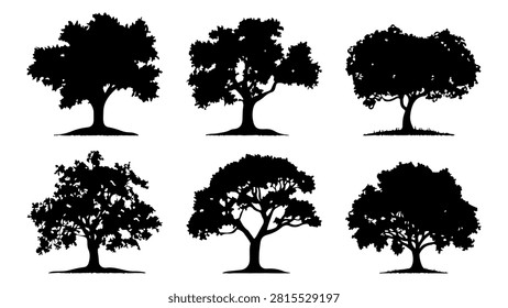 Six distinct black tree silhouettes showcasing various shapes and sizes, emphasizing natural forms and organic structures in a minimalist style.