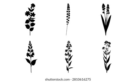 Six distinct botanical silhouettes showcasing various plant shapes and structures, ideal for creative, artistic, and design purposes.