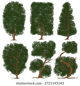 Seis siluetas de árboles perennes distintas en vista de elevación, con diversas Formas de copa, desde formas geométricas estructuradas hasta ramas orgánicas y sinuosas. Estos activos botánicos estilizados están diseñados con follaje verde texturizado y troncos marrones limpios, lo que los hace ideales para secciones de sitios arquitectónicos, entornos de juegos 2D, ilustraciones de paisajes urbanos y proyectos de arte digital minimalista.
