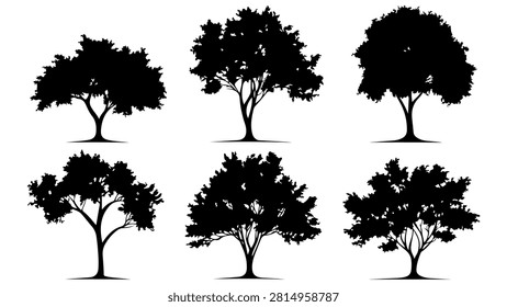 Six distinct tree silhouettes displayed in black and white, showcasing various shapes and sizes of trees against a plain background.