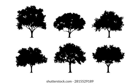 Six distinct tree silhouettes displayed in black on a white background, showcasing various shapes and sizes of trees for design and artistic purposes.