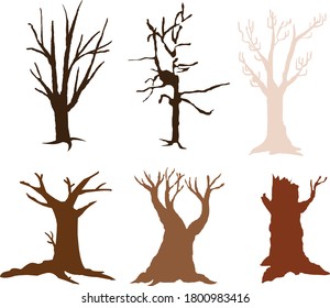 Six Drying Tree On Land Collection