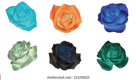 Six dull realistic color roses flower icon collection set in isolated background, create by vector