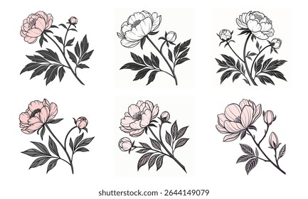 Six elegant botanical peony flower illustrations bundle with pink and grey color scheme