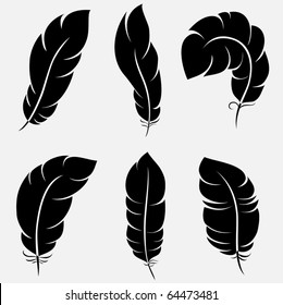 Six elegant feathers for your design and decoration
