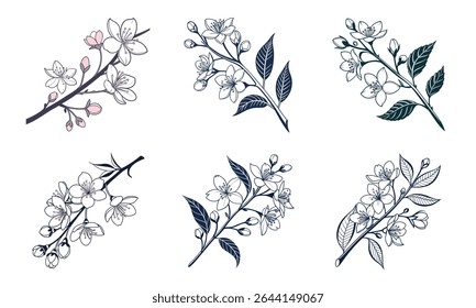 Seis elegantes desenhos à mão desenhado ramo floral ilustrações com delicadas flores florescendo