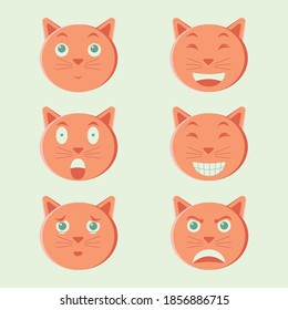 SIx Expression Of A Cat