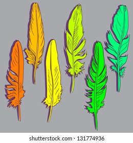 Six  feathers of parrot