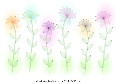 Six flowers are arranged in a row. On a white background.
