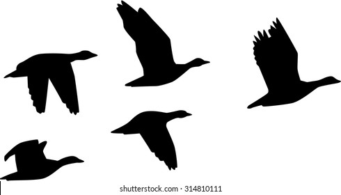 Six flying geese
