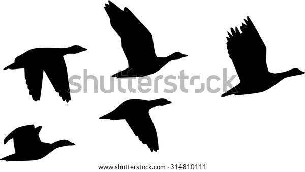 Six Flying Geese Stock Vector (royalty Free) 314810111