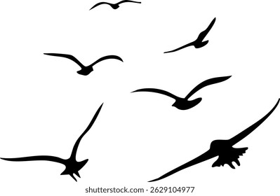 Six flying seagulls silhouette illustration