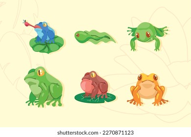 six frogs amphibians animals group