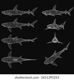 Six great white sharks are arranged symmetrically on a black background, creating a striking contrast. Each shark slightly overlaps the one below, showcasing detailed fins, scales, and piercing eyes.