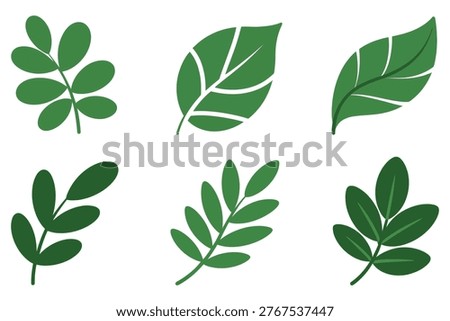 Six green leaf flat isolated on white background, green leaves leaf, nature eco plant foliage