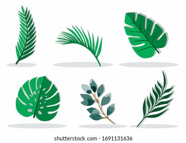 six green tropic leaf set isolated in white color.aesthetic leaf vector useful for background  