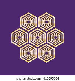 The six hexagons on a purple background