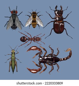 six insects animals collection icons