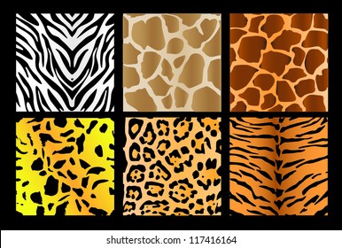 Six kind of skin of animals