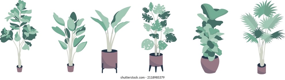 six kinds of flat style flowers
