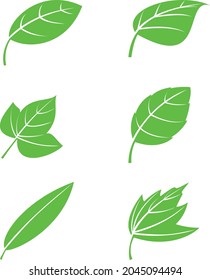 six kinds of leaf icon image by vector design