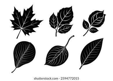 Six leaf bundle vector silhouette design.