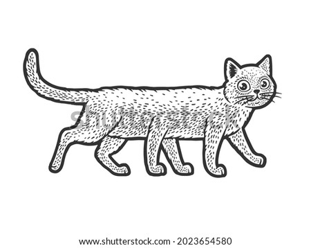 six legged cat sketch engraving vector illustration. T-shirt apparel print design. Scratch board imitation. Black and white hand drawn image.