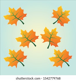 Six Maple leaf set, autumn concept, vector illustration