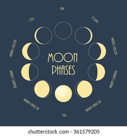 Six Moon Phases. Minimal Flat Vector Illustration.