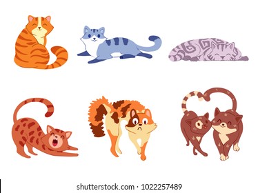 Six multi-colored cats sit, lie and stand in different poses. Vector illustration.