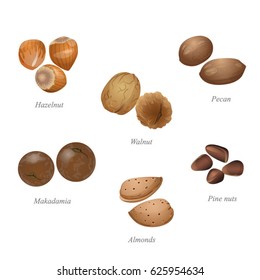 Six nuts in their shells / There are walnut, hazelnut, pine nuts, pecan, macadamia and almonds 
