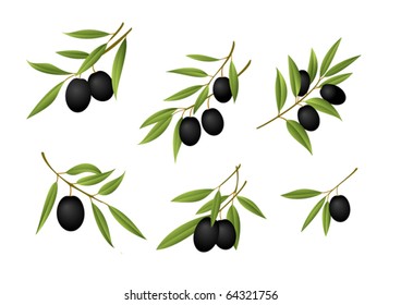 Six olive branches