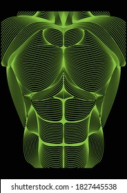 Six pack man body illustration in lines style for t-shirt printing or any other purpose. Single color art