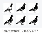 Six Pigeon Vector Illustrations file