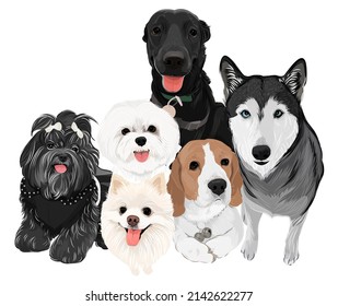 Six puppies friendly dog vector art