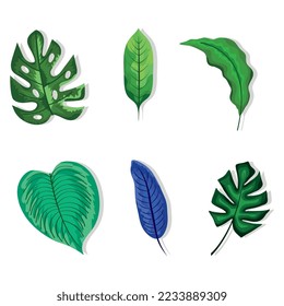 seis folletos iconos de la naturaleza