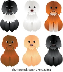 six shaggy dogs of different colors