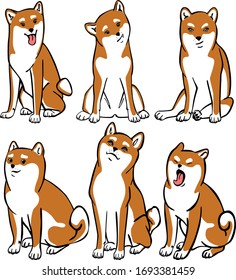 Six Shiba-Inu sitting, yawning, hanging out tongue