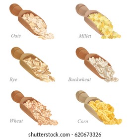 Six shovels with different cereal flakes part one / There are corn, oats, rye, wheat, millet and buckwheat flakes in shovels
