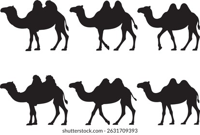 Seis silhuetas de camelos dromedários bactrianos animais do deserto