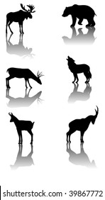 Six silhouettes with reflex of wildlife animals: moose, bear, deer, wolf, chamois, ibex