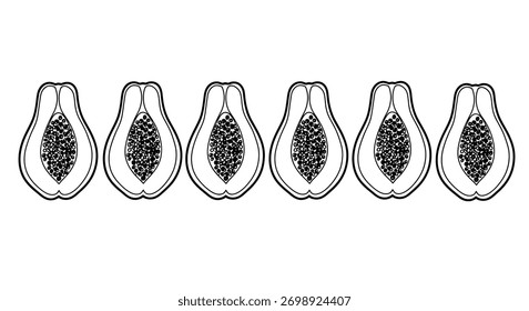 Six sliced papayas arranged in a row botanical sketch healthy tropical fruit vector