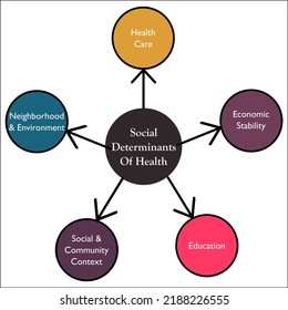 Six Social Determinants Health Infographic Template Stock Vector ...