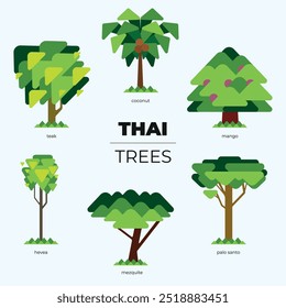 Six species of trees found in Thailand