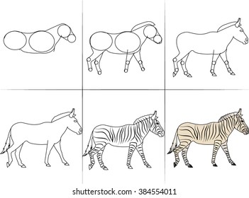 Six steps of drawing animal zebra from line to final color execution