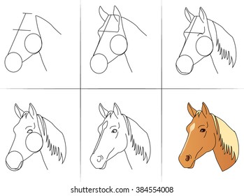 Royalty Free Horse Drawing Stock Images Photos Vectors